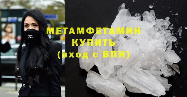 амф Гусев