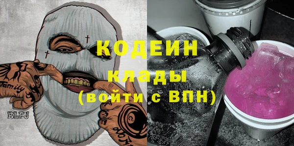 амф Гусев
