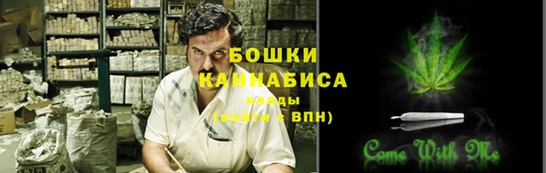крисы Гусиноозёрск