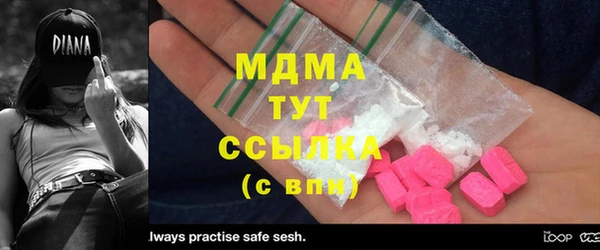 амф Гусев