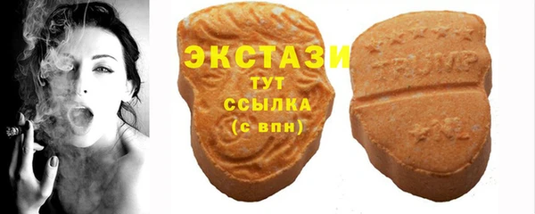амф Гусев