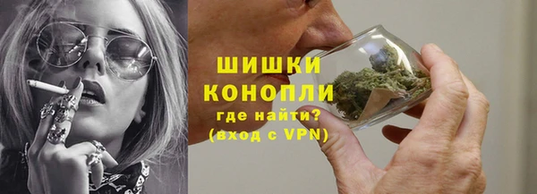 амф Гусев