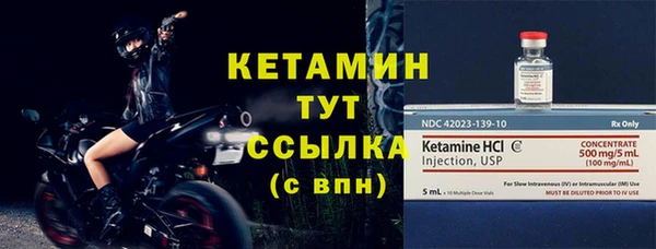 амф Гусев