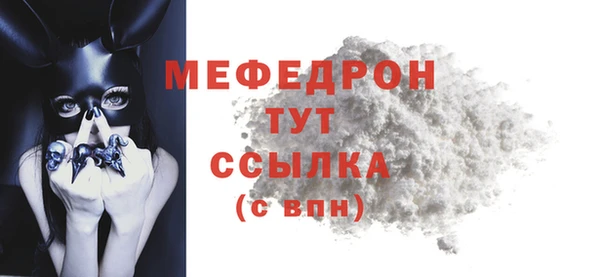 амф Гусев