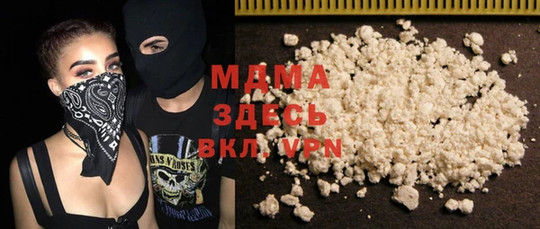 амф Гусев
